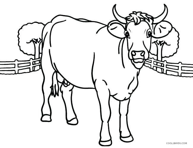 650x500 Easy Drawing Coloring Pages Colouring Book Cow Of Cows Best Animal