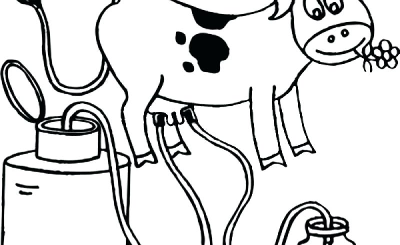 800x491 Easy Drawing Coloring Pages Colouring Cow
