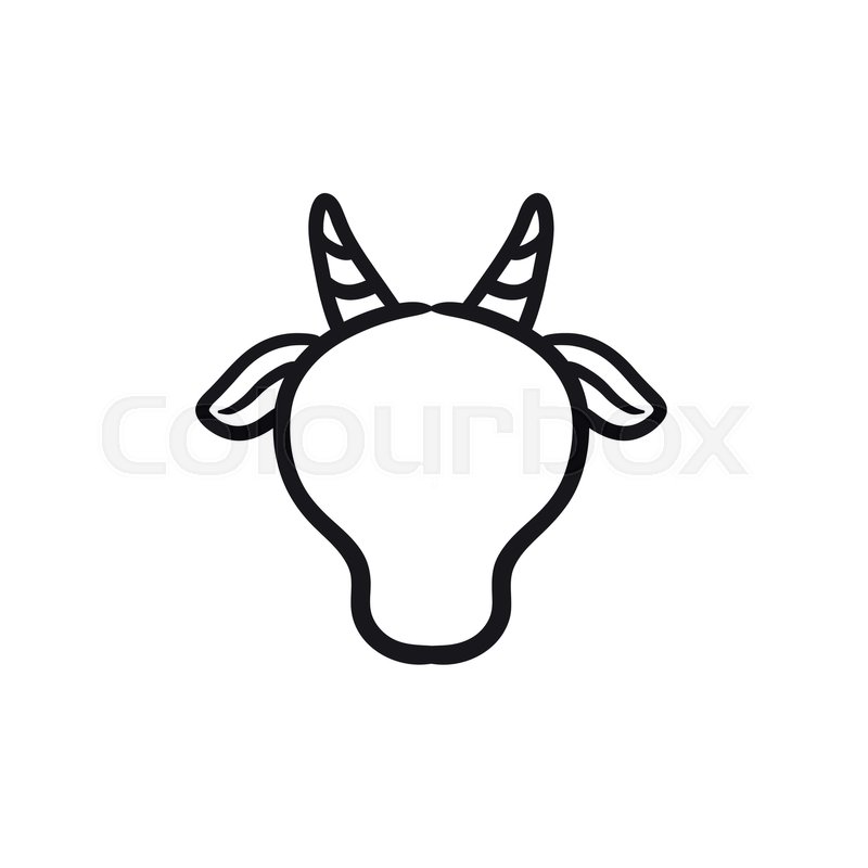 800x800 Cow Head Sketch Icon For Web, Mobile Stock Vector Colourbox