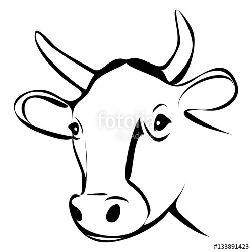 Cow Head Drawing | Free download on ClipArtMag