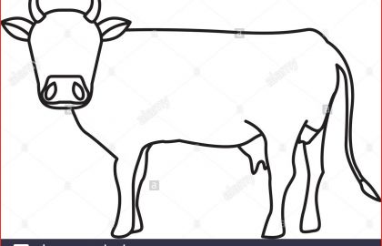 420x270 Cow Drawing Printable Cow Coloring Pages Ruva