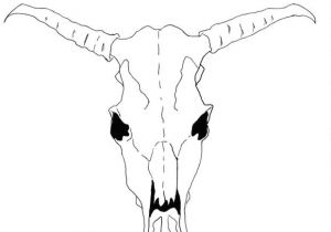 300x210 Drawing Easy Cow Cow Drawing Images Stock Photos Vectors