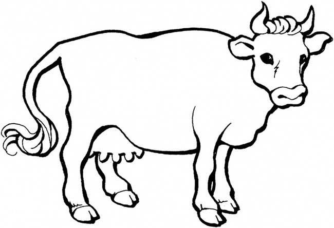 650x444 Cow Template