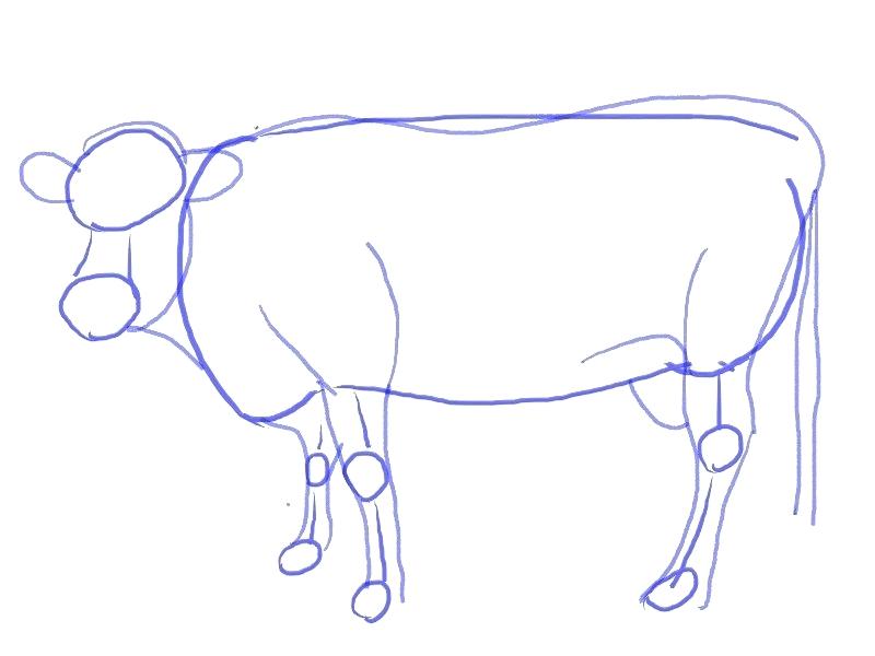 800x600 Draw Cow Draw Cow Draw Online Graph Paper