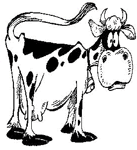 276x302 Drawing Cow Dairy Transparent Png Clipart Free Download