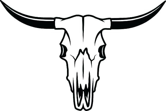 570x381 Image Longhorn Cow Skull Line Drawing With Silver
