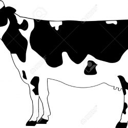 250x250 Cartoon Cow Line Drawing Head Of Vector Carmi Chaelinn