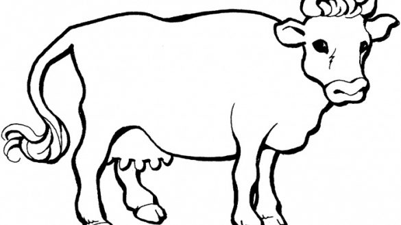 585x329 Cow Color Pages Stylish Varkala Creative Regarding