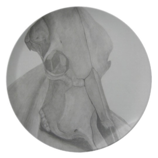 540x540 Cow Skull Pencil Drawing Plate Zazzle Ca