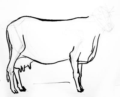 400x324 How To Draw A Cow
