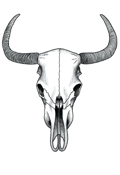 411x600 Ox Skull Ox Skull Tattoo