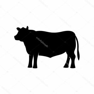 300x300 stock illustration cow pencil drawing black angus beef image arenawp