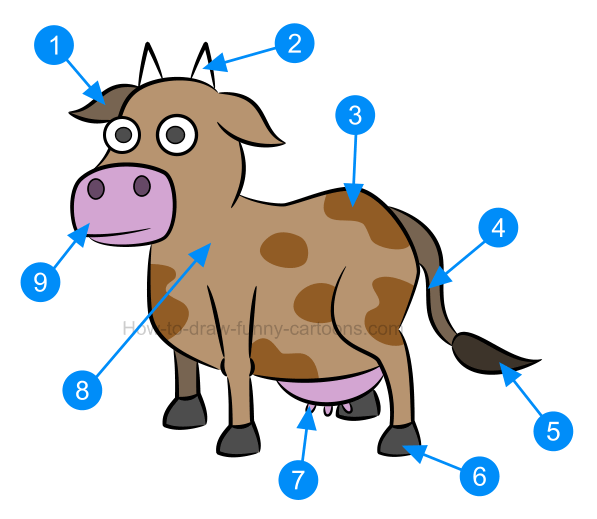 597x519 How To Draw An Illustration Of A Cow