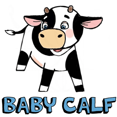 400x400 Huge Collection Of 'baby Cow Drawing' Download More Than