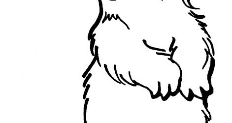 471x250 Airplane Drawing Simple Cow Cat Birds Car But Cool Christmas Tree