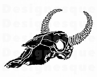 340x270 Cow Skull Sheet Etsy