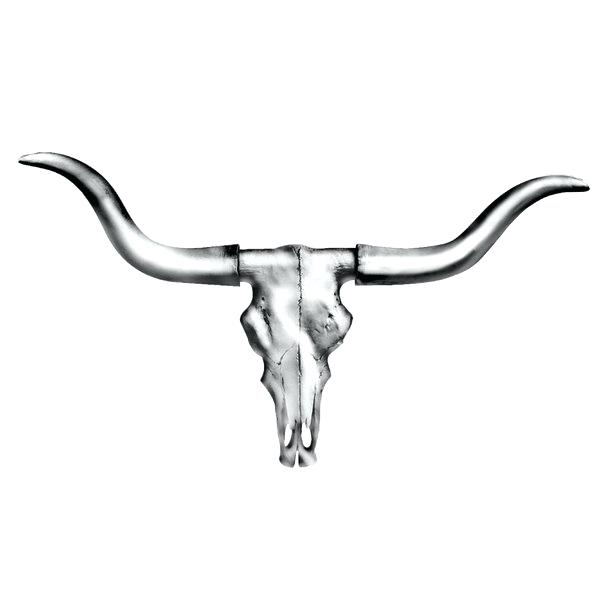 600x600 Longhorn Cow Skull