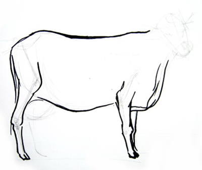 400x337 How To Draw A Cow