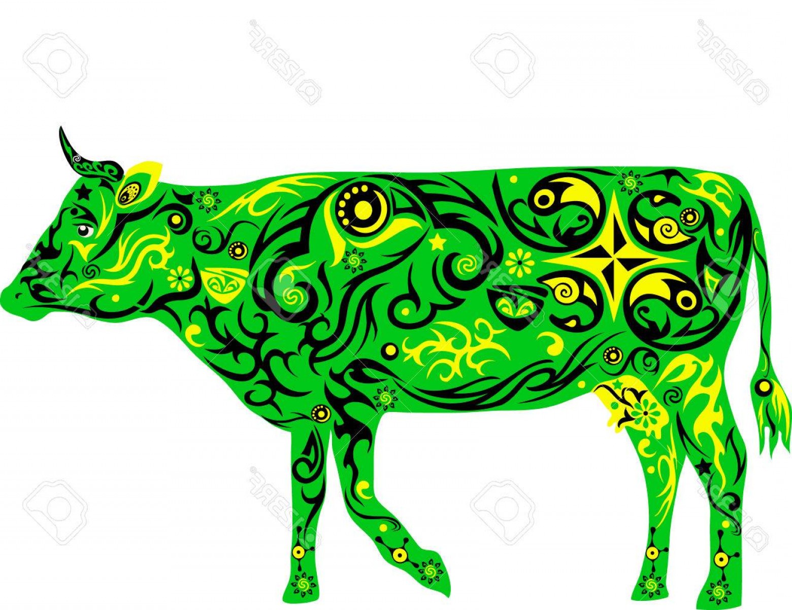 1560x1201 Photostock Vector Cow With A Pattern A Pet Cattle The Girl