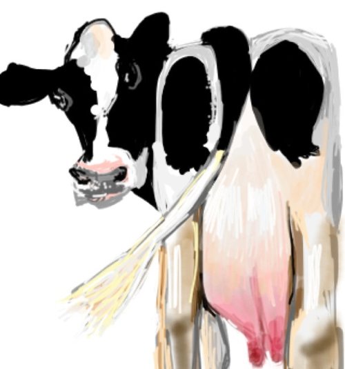 500x535 Udder Drawings