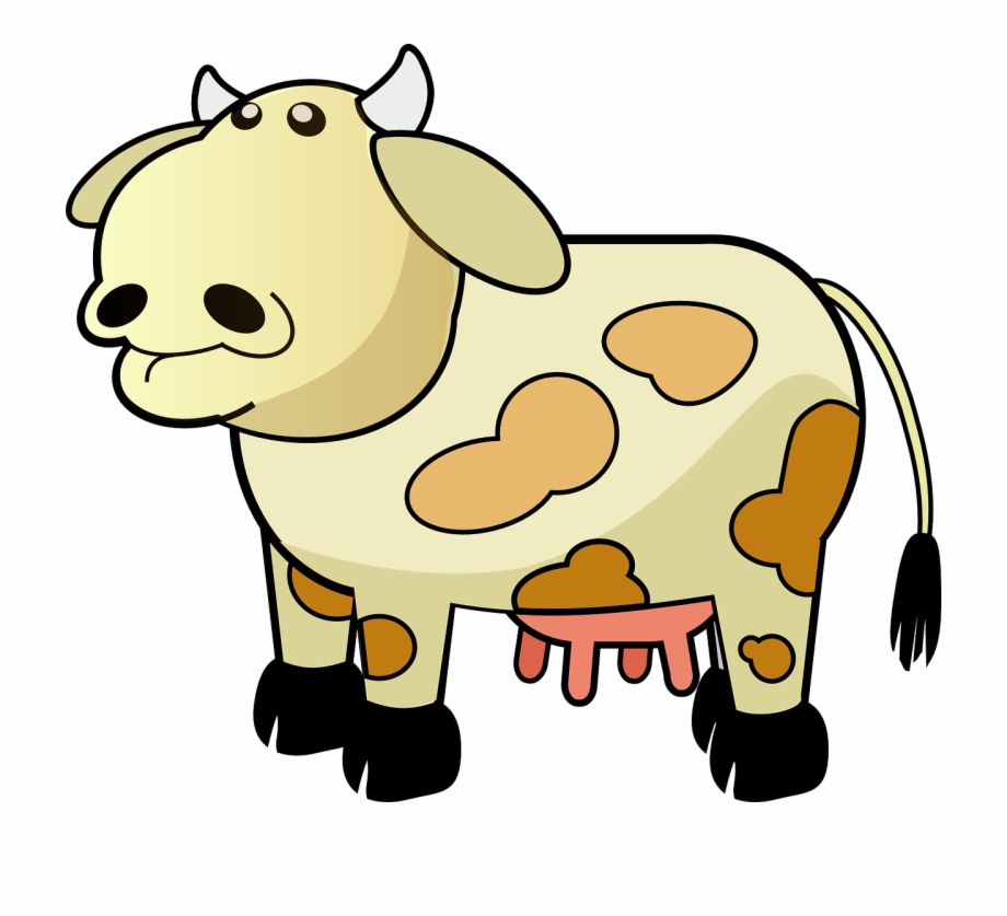 920x837 Cow Dairy Farm Udders Cattle Png Image