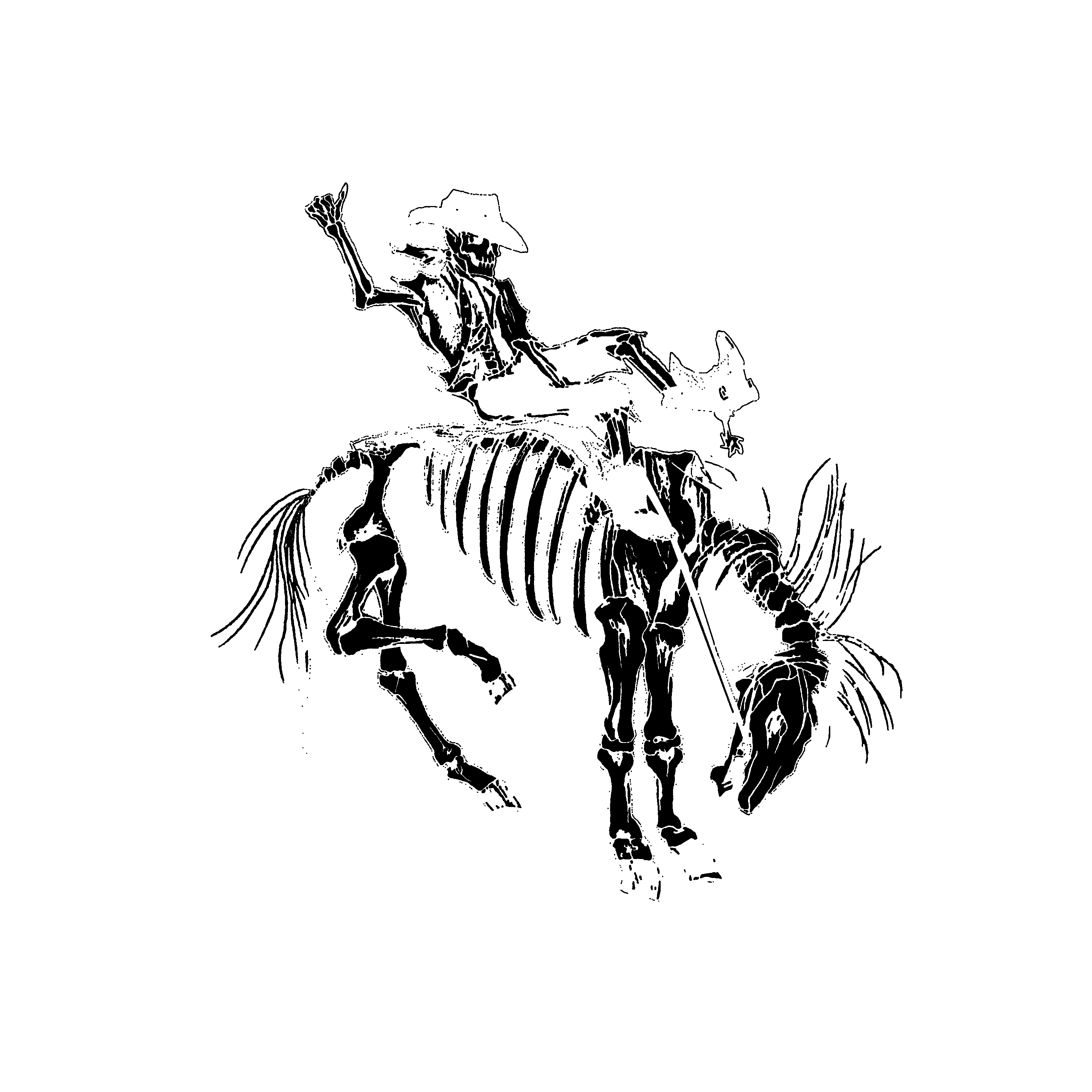 3000x3000 Gary Allan Skeleton Horse