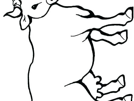 440x330 Cowgirl Coloring Pages