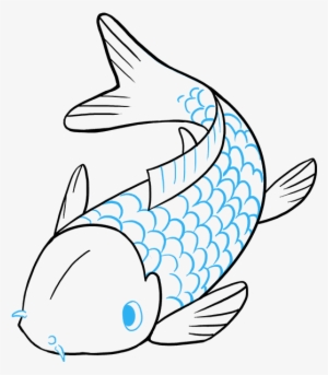 300x343 How To Draw Koi Fish