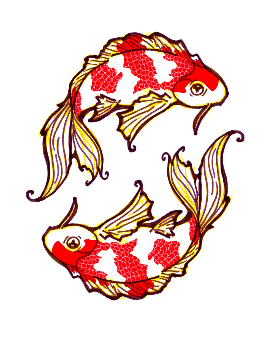 Coy Fish Drawing | Free download on ClipArtMag