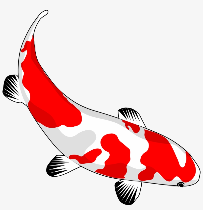 820x849 Koi Fish Line Drawing At Getdrawings