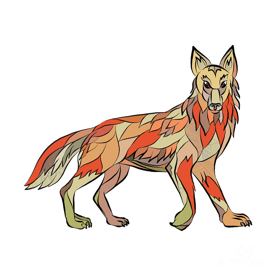 900x900 Coyote Side Isolated Drawing Digital Art
