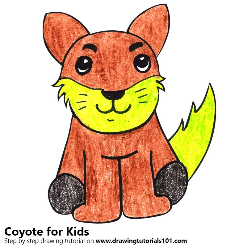 800x800 Learn How To Draw A Coyote For Kids