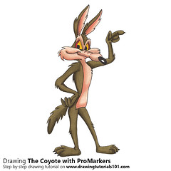 240x240 The World's Best Photos Of Cartoon And Coyote