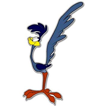 355x355 Road Runner Wile E Coyote Vynil Car Sticker Decal
