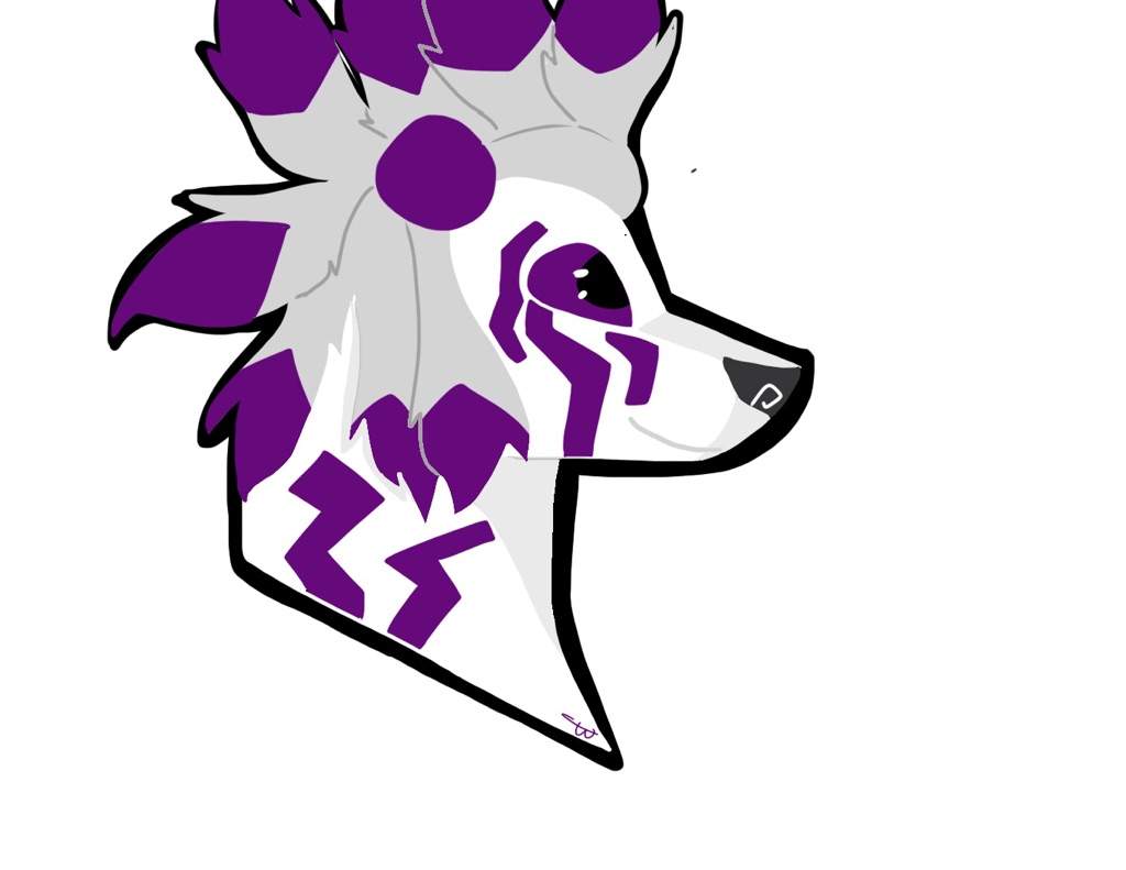 1024x791 coyote drawing aj amino amino