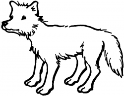 250x195 Coyote Clipart Simple, Picture