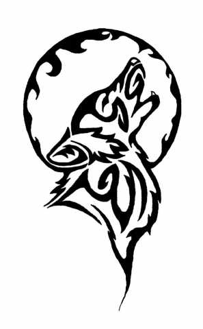 297x480 Drawn Coyote Drawing