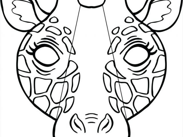 640x480 Drawn Coyote Drawing