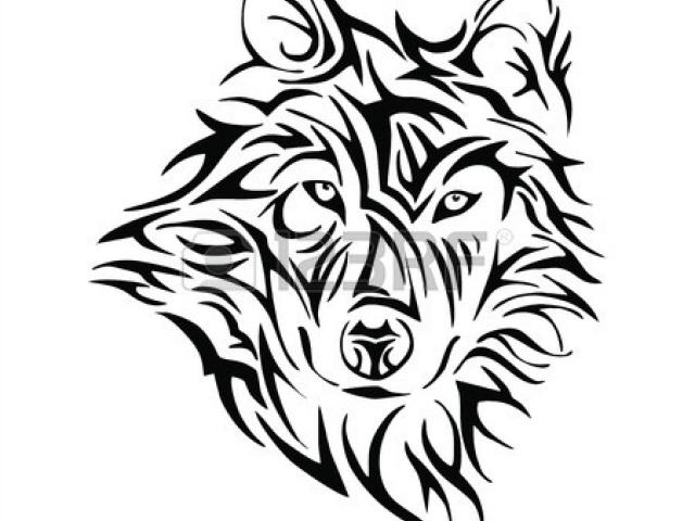 640x480 Free Drawn Coyote, Download Free Clip Art