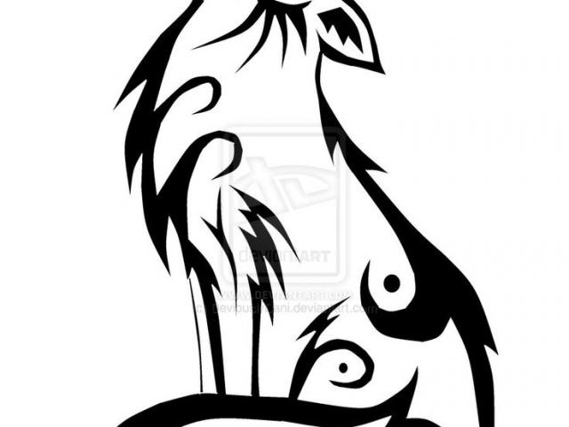 640x480 Drawn Coyote