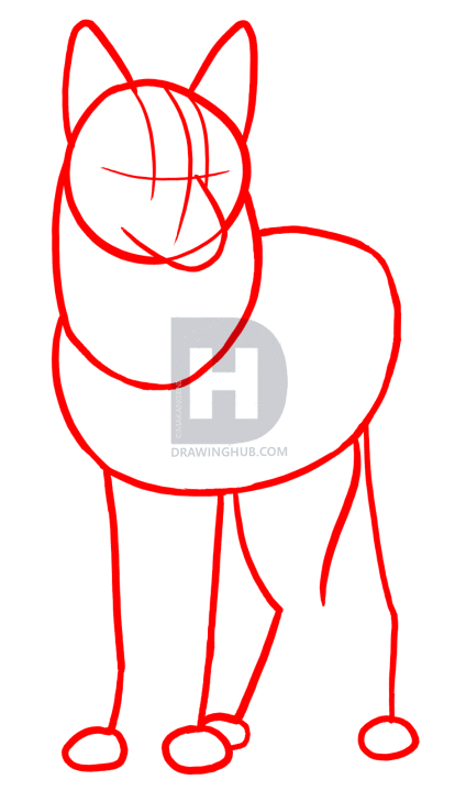 424x720 How To Draw Coyotes, Prairie Wolf, Step