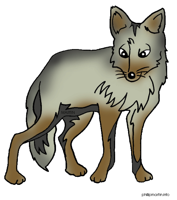 575x648 Mascot Drawing Coyote Transparent Png Clipart Free Download
