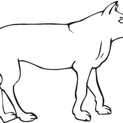 250x250 Coyote Drawing Howling Step