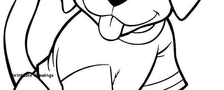 748x300 Coyote Coloring