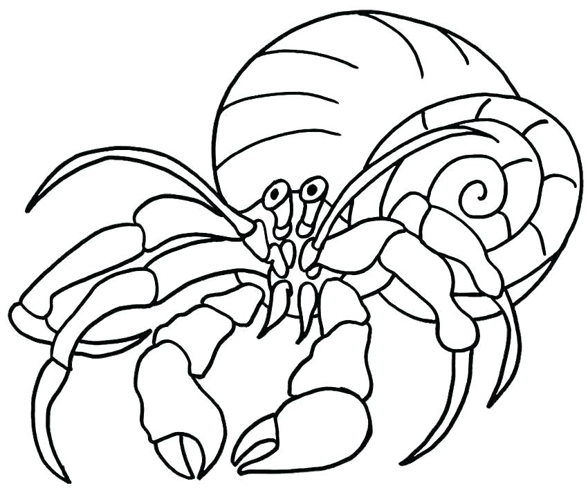850x719 Crab Coloring
