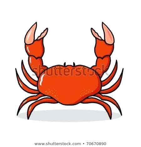 450x470 Crab Drawing Demo Hermit Crab Drawing Easy