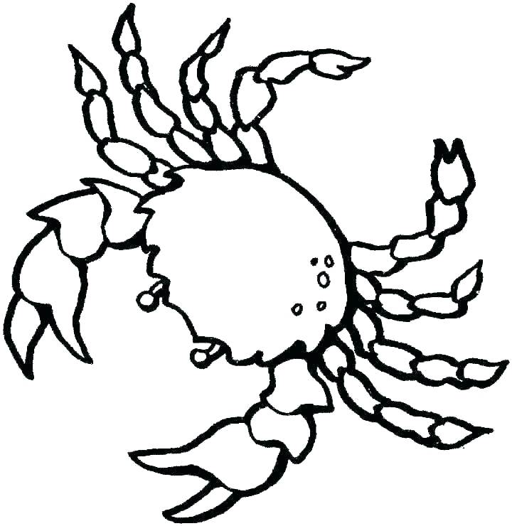 720x740 crab to color snail blue crab coloring sheet