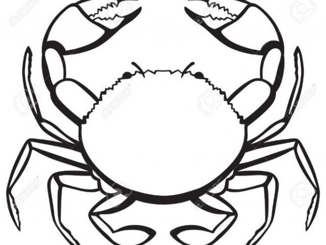 640x480 crabs clipart free download on scubasanmateo