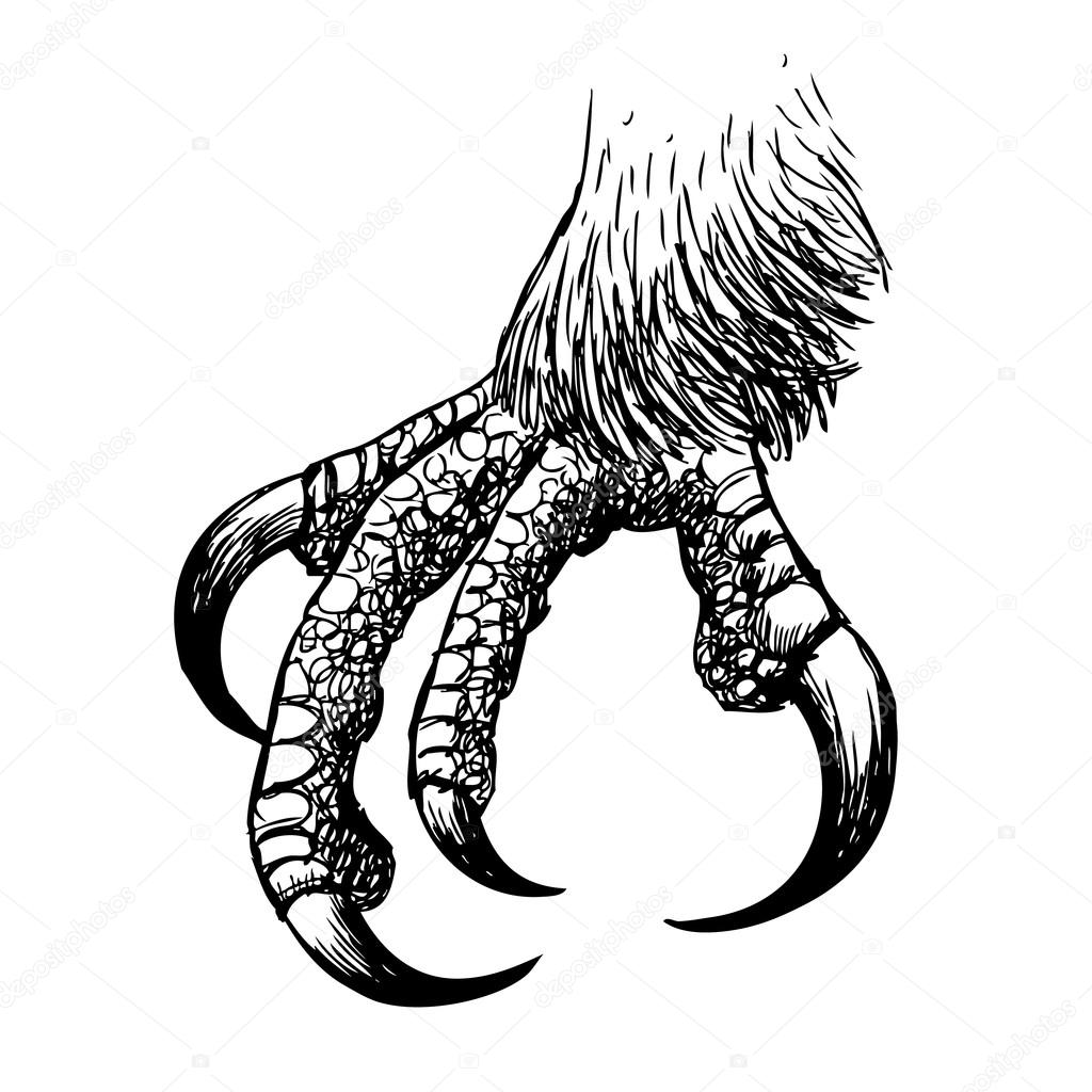 1024x1024 Claws Drawing Free Download