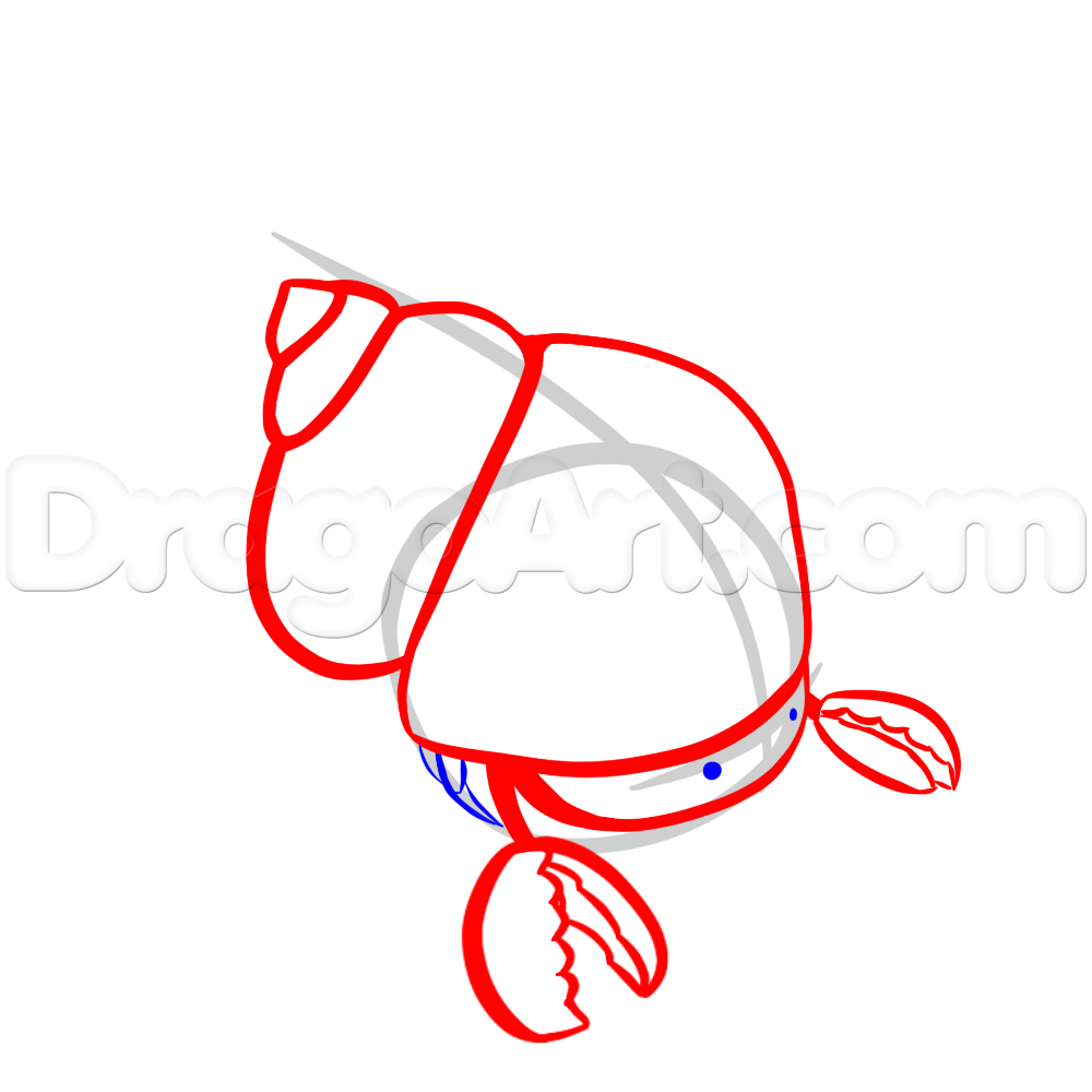 1000x1000 How To Draw A Cute Cartoon Hermit Crab, Step